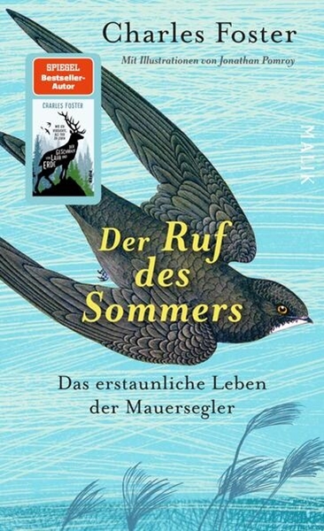 Bild von Foster, Charles: Der Ruf des Sommers